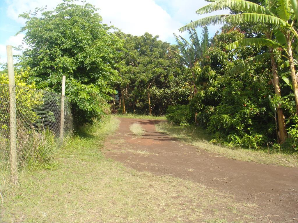 Cabanas Varua Hanga Roa Quarto foto