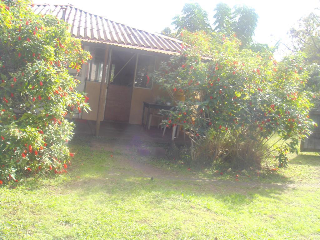 Cabanas Varua Hanga Roa Quarto foto